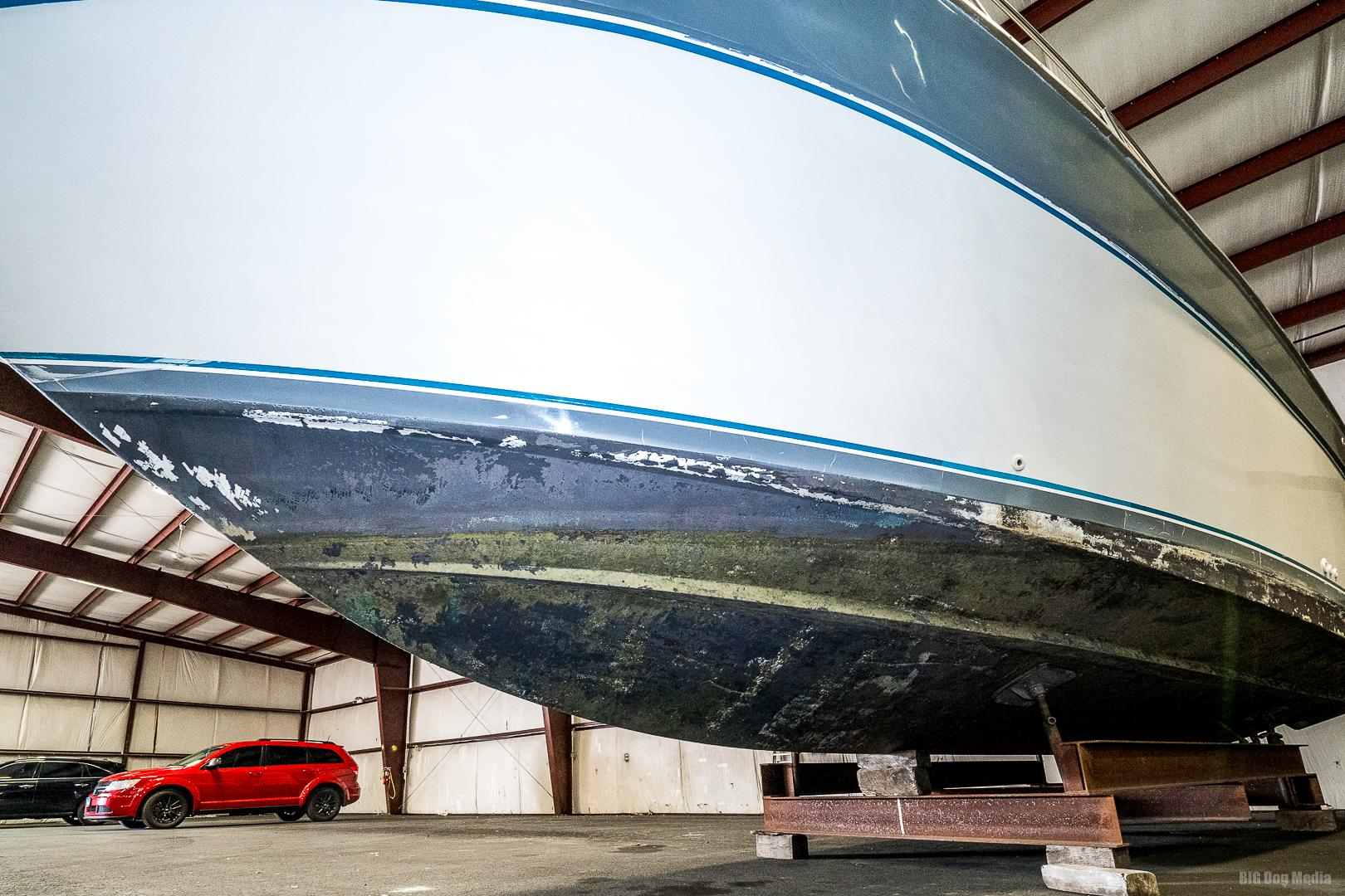 9030213_20230905134248788_1_XLARGE